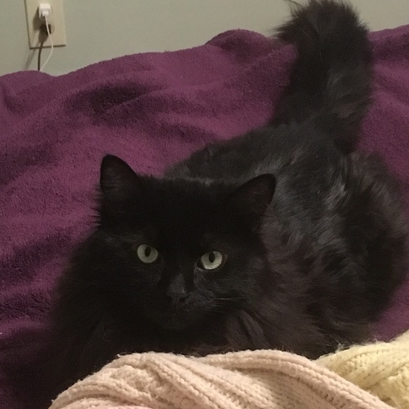 Meet your Posher, Deborah - Picture 4 of 5